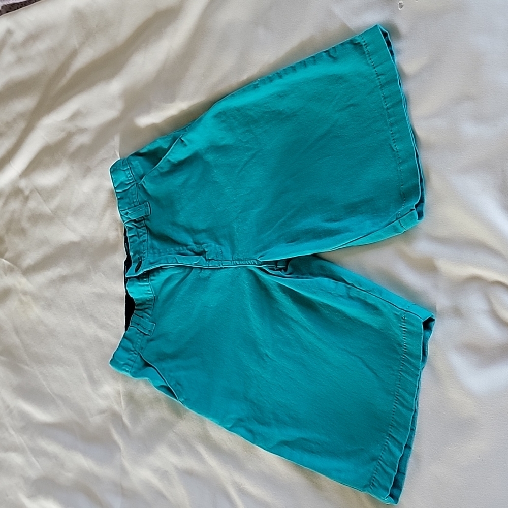 Boy's Wonder Nation Flat Front Shorts, Color Aqua Green,  Size 16